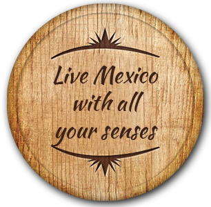 Viva Tequila | Legado de México | Mariachi | Tequila | Charro | Show
